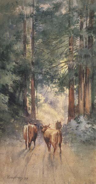 Percy Gray Cows in a Redwood Glade (mk42)